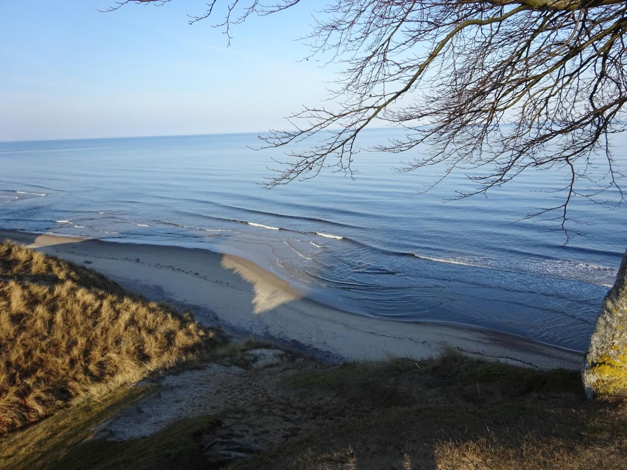 Solrosen I Simrishamn - Oesterlen Exterior foto
