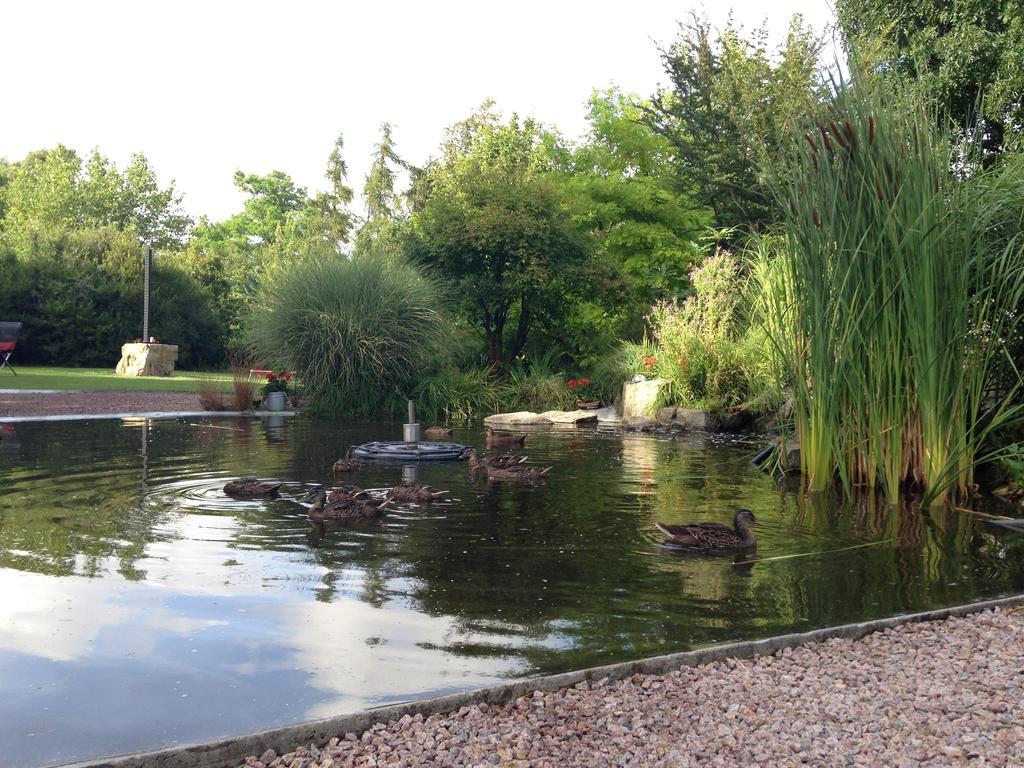 Solrosen I Simrishamn - Oesterlen Exterior foto